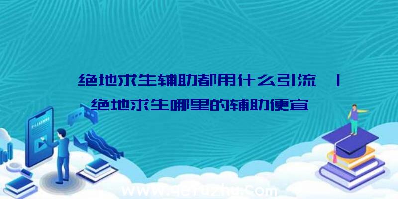 「绝地求生辅助都用什么引流」|绝地求生哪里的辅助便宜